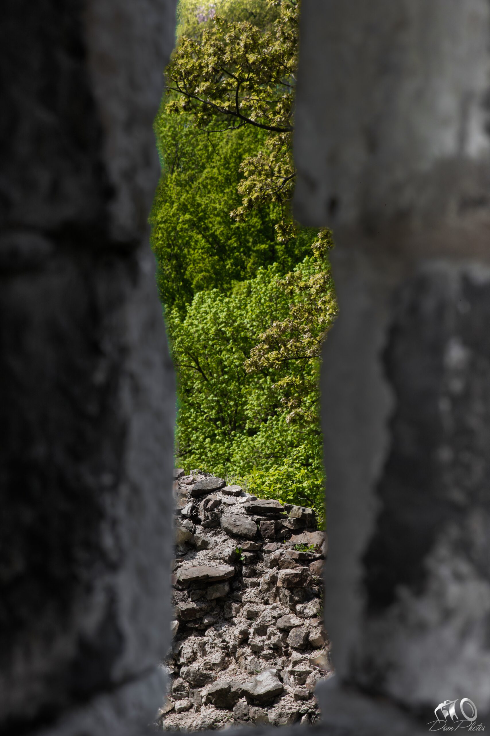 IMG_6427-Avec accentuation-Bruit_InPixio